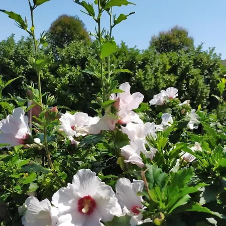 Climatisé L'oisellerie Séjour chez l'habitant Castelnou
